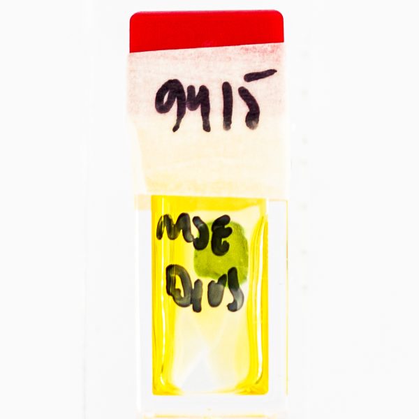 marcels_watch_group_assortment_oils_greases_moebius_HP500_HP750_HP1300_synt_a_lube_9010_microgliss_D5_grease_9415_9501_8300_8217_molykote_9